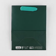 Пакет ламинированный «Изумрудный», MS 18 × 23 × 10 см