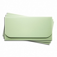 Основа для подарочного конверта №6 комплект 3шт. Цвет светло-зеленый м...